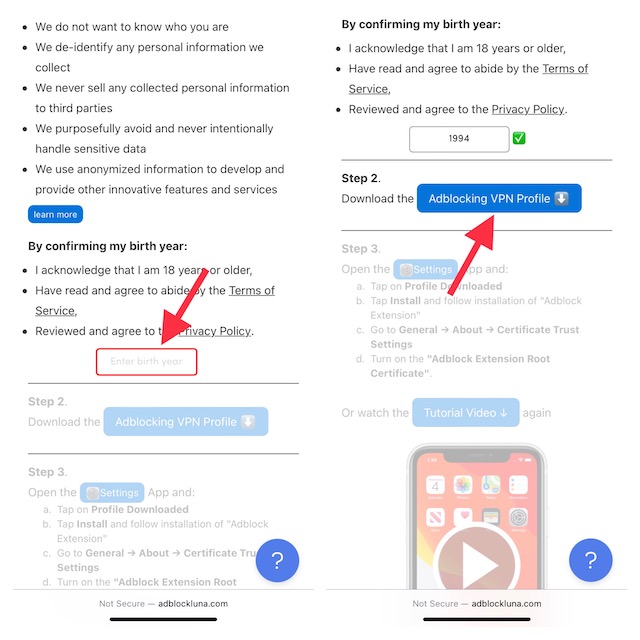 Adblocking Luna VPN ప్రొఫైల్